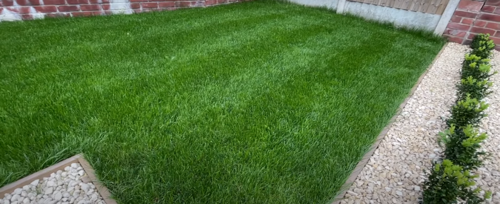 How Much Does Garden Renovation Cost? - PriceMyGarden.co.uk