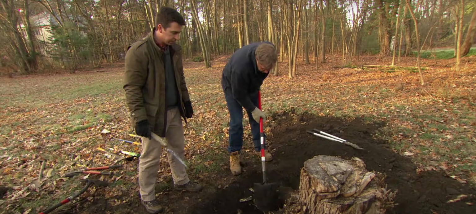 How Much Does Tree Stump Removal Cost? PriceMyGarden