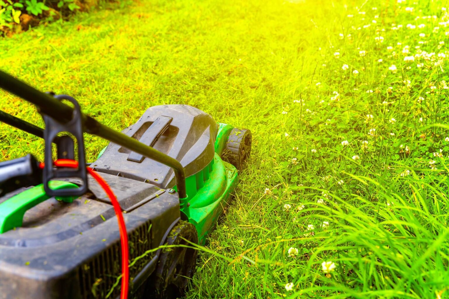 When to Start Cutting Grass and How Often PriceMyGarden