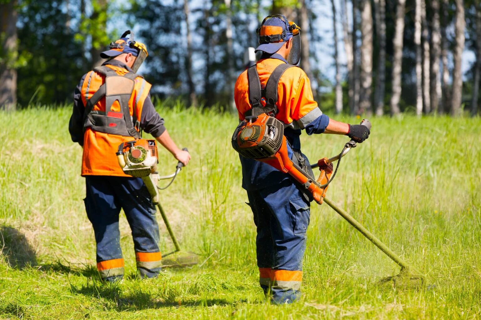 How Much Does Grass Cutting Cost? PriceMyGarden