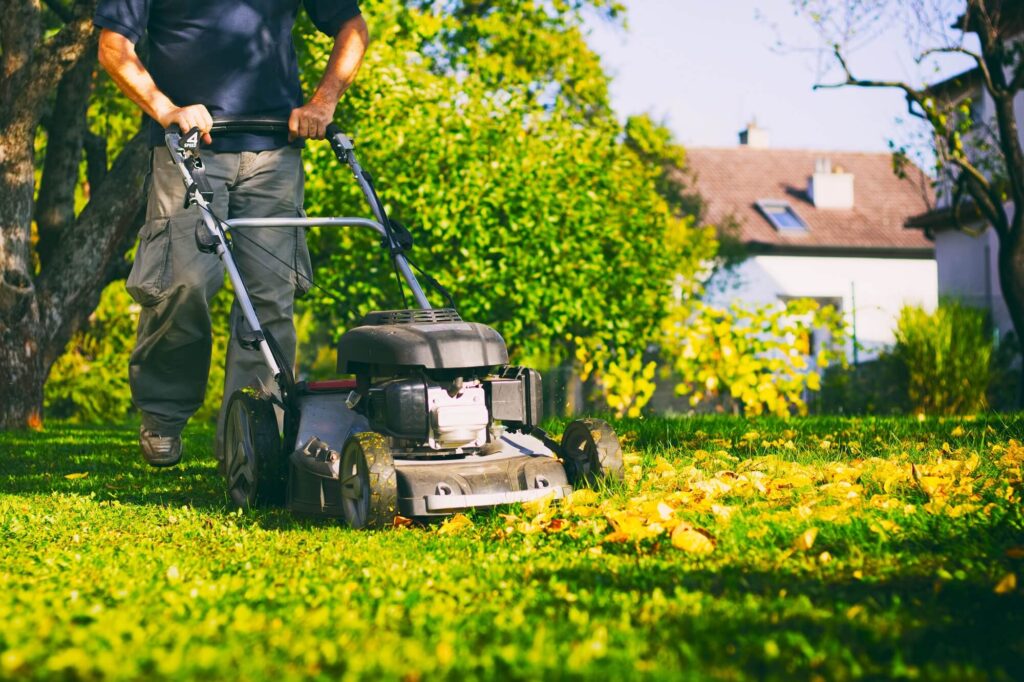 Read more about the article How Much Does Grass Cutting Cost?